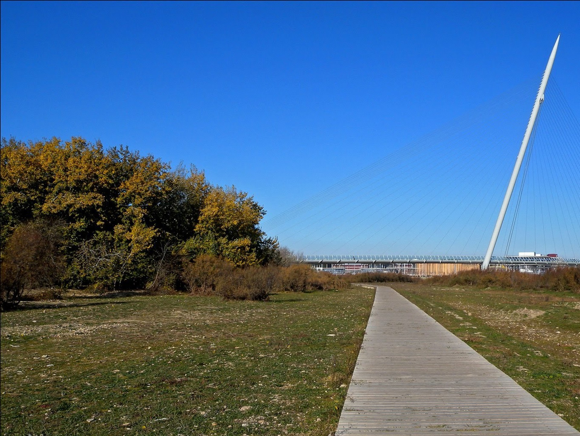 CS7_2