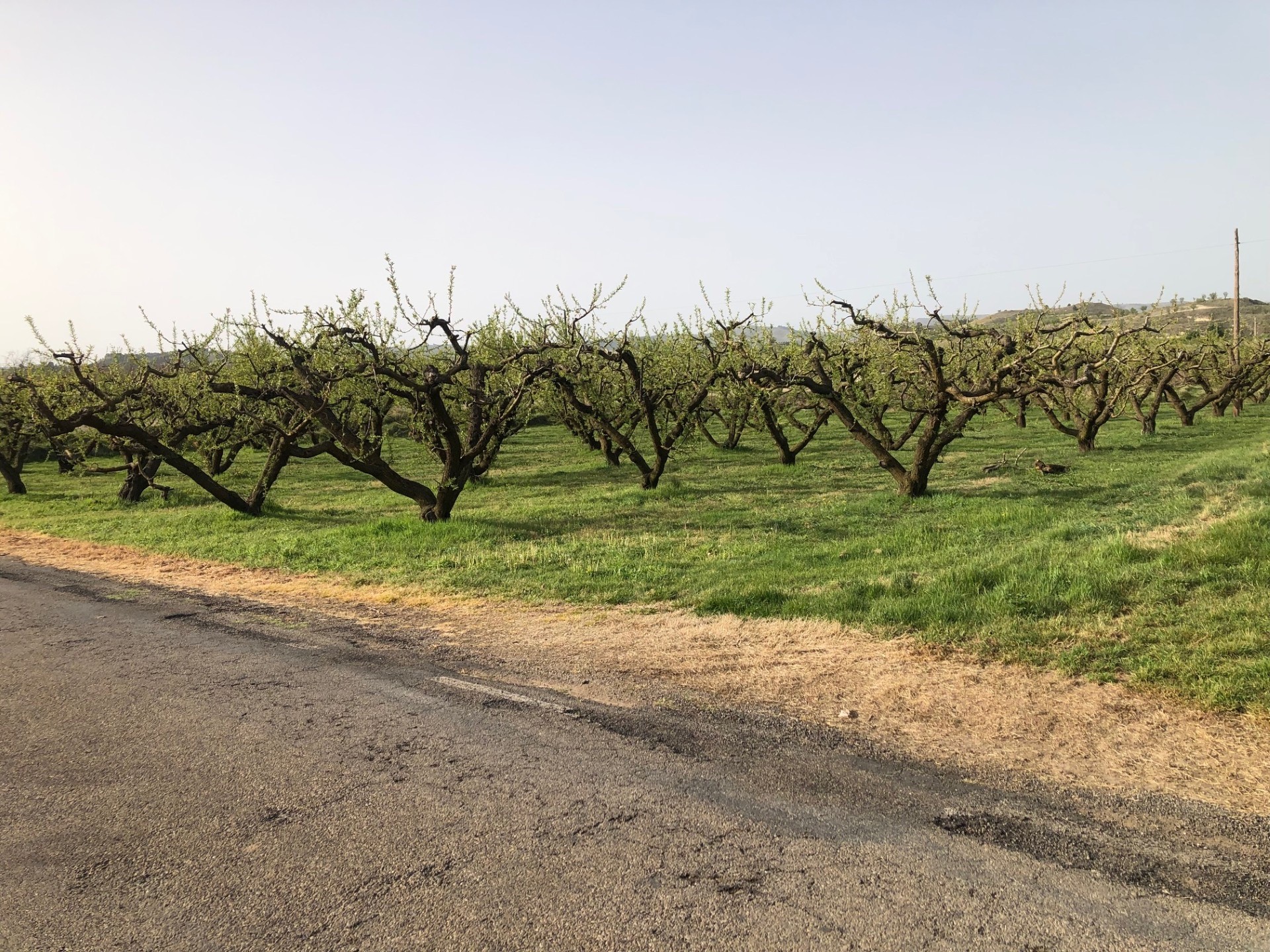 Gestión de los procedimientos de expropiación forzosa a ejecutar por el Servicio de Recursos Agrarios, Vías e Infraestructuras durante los ejercicios 2025-2027