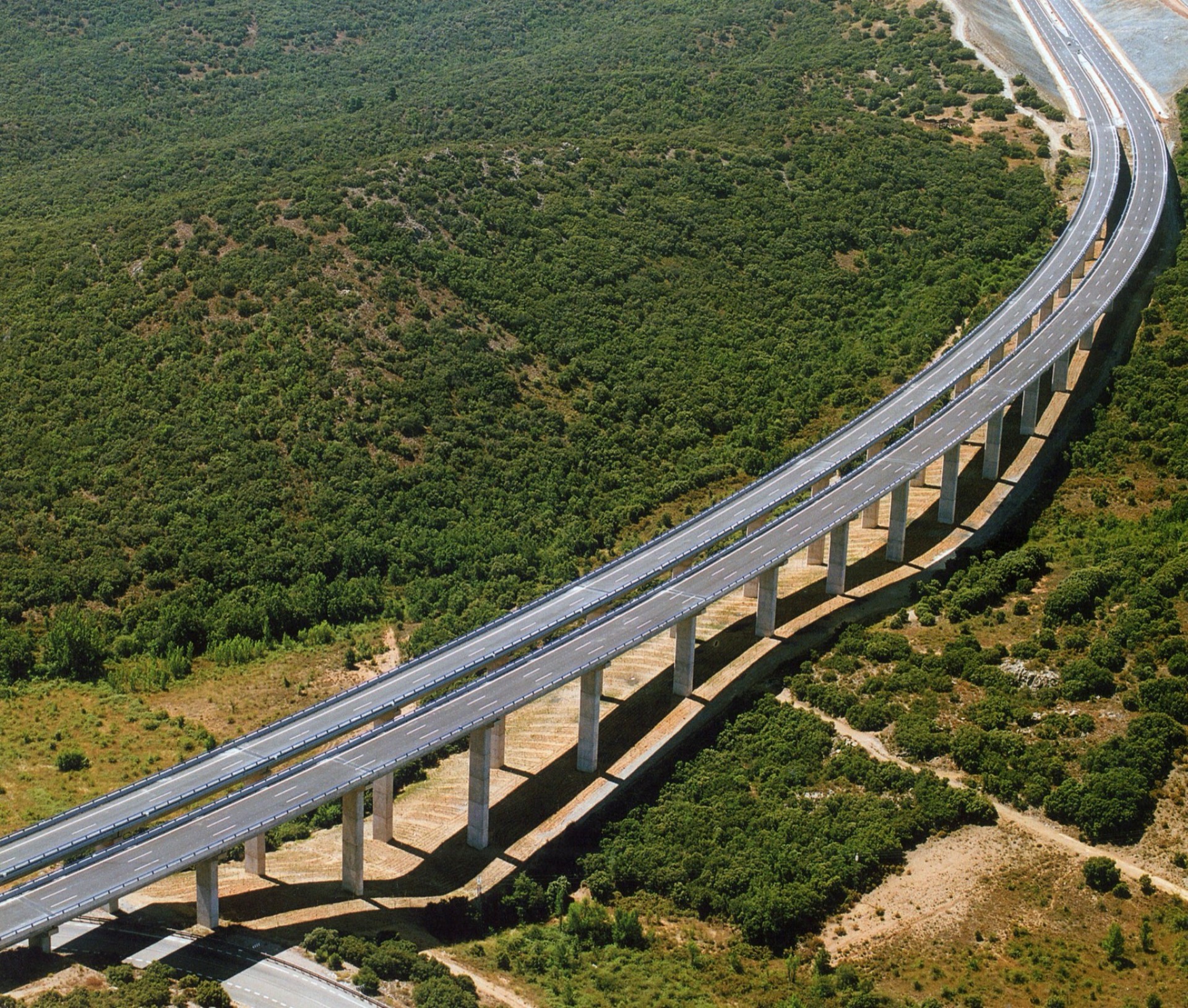 Viaducto de autovía entre bosque