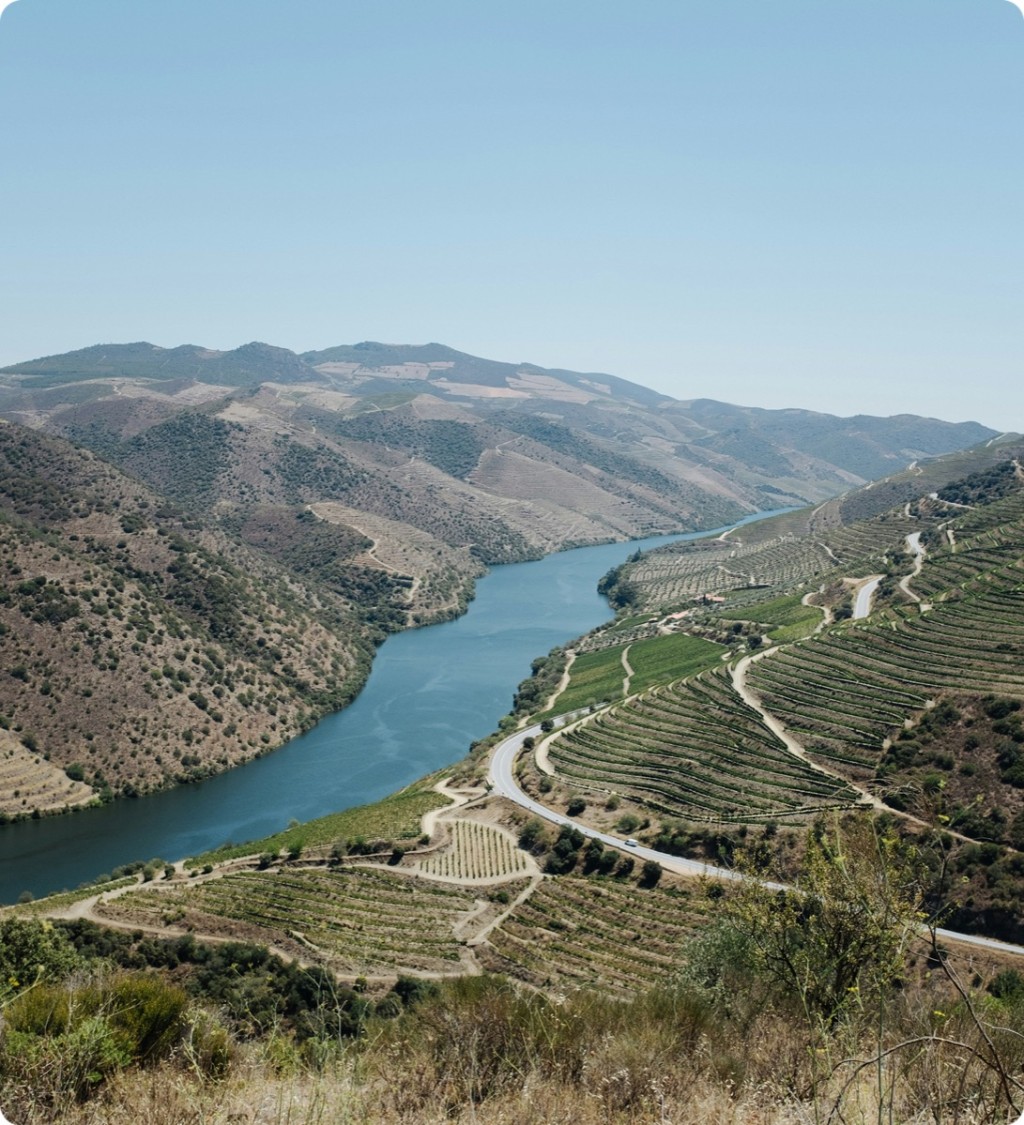 Río encajado entre laderas con viñedos