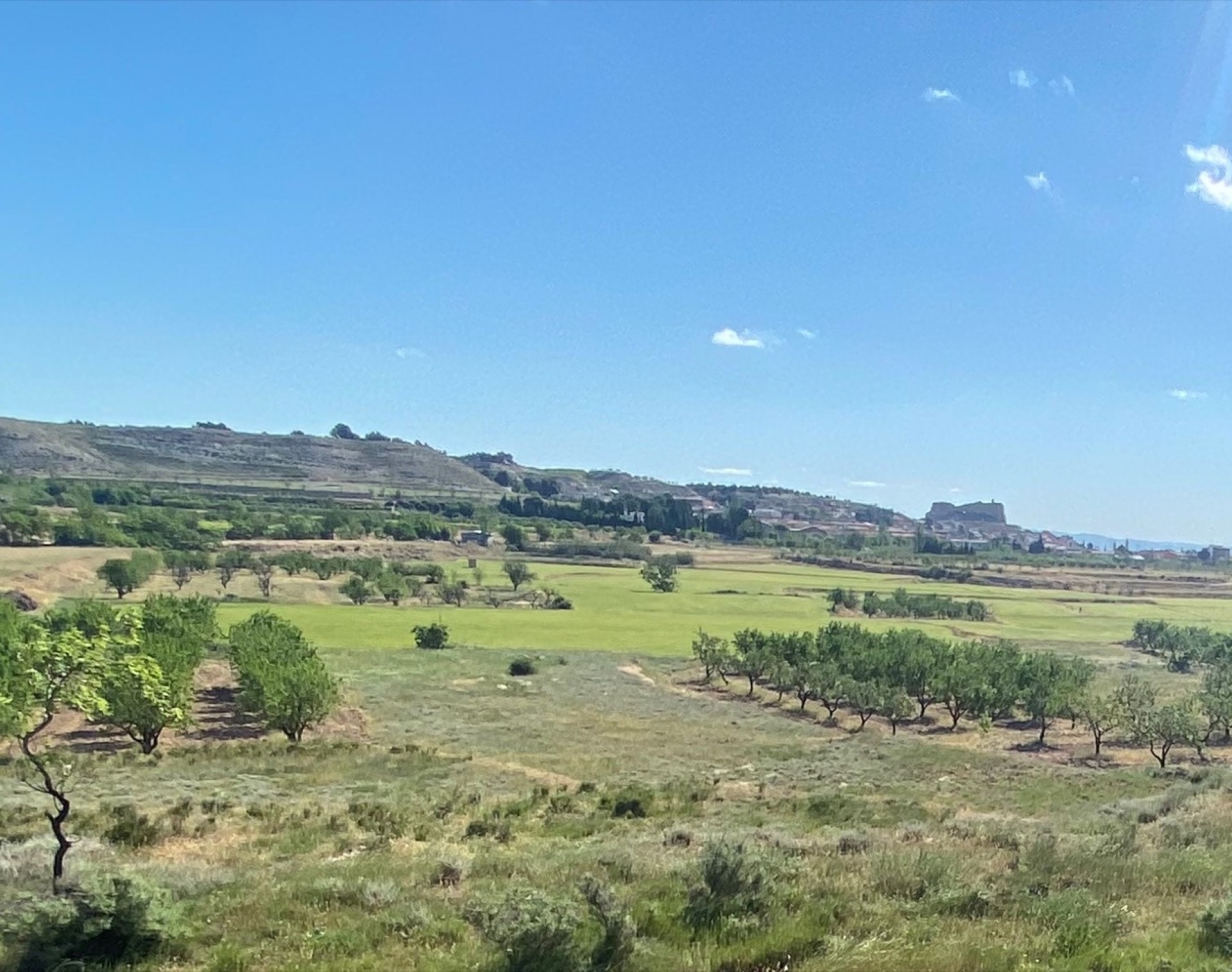 Variante de Borja