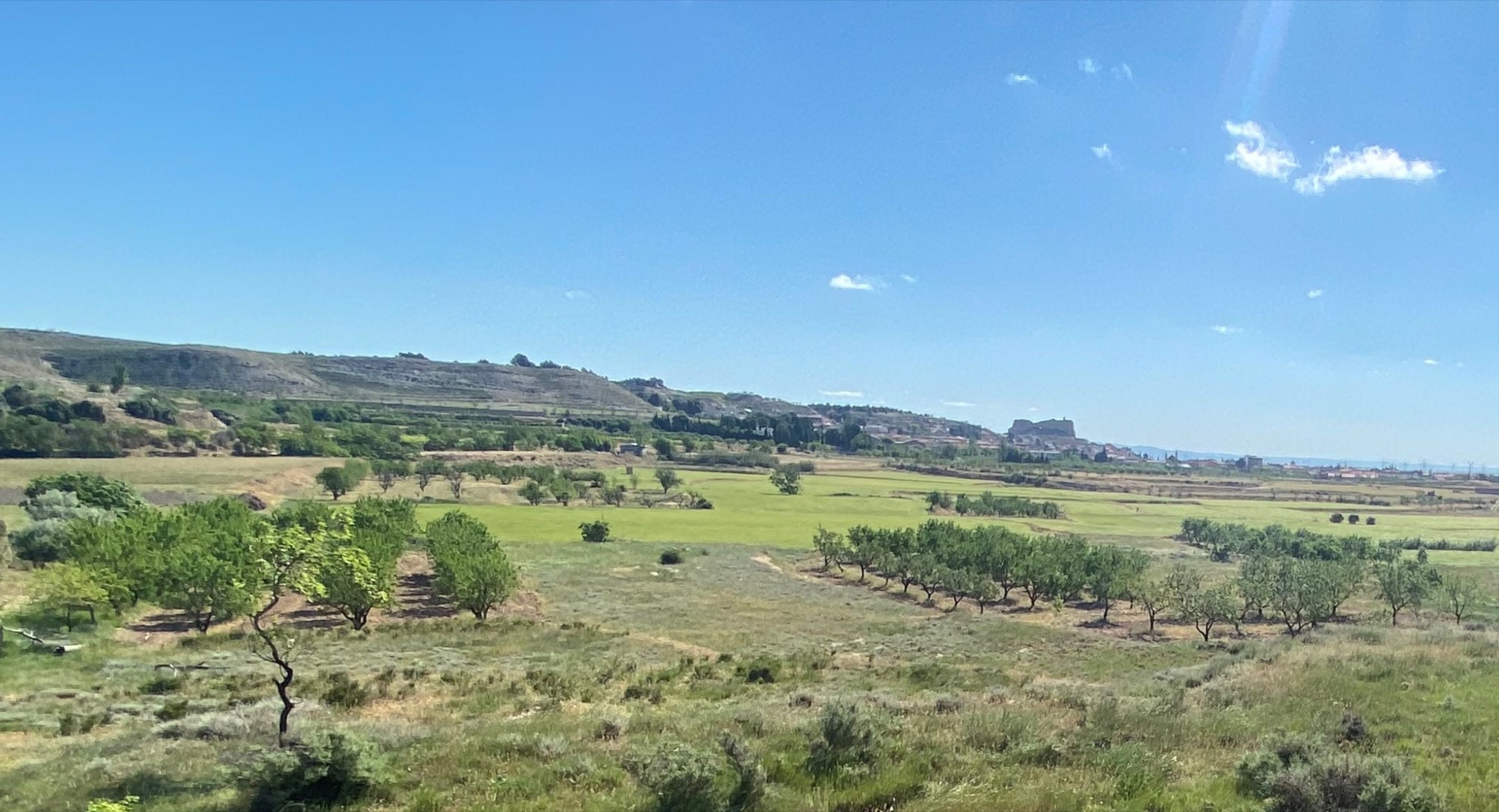 Variante de Borja